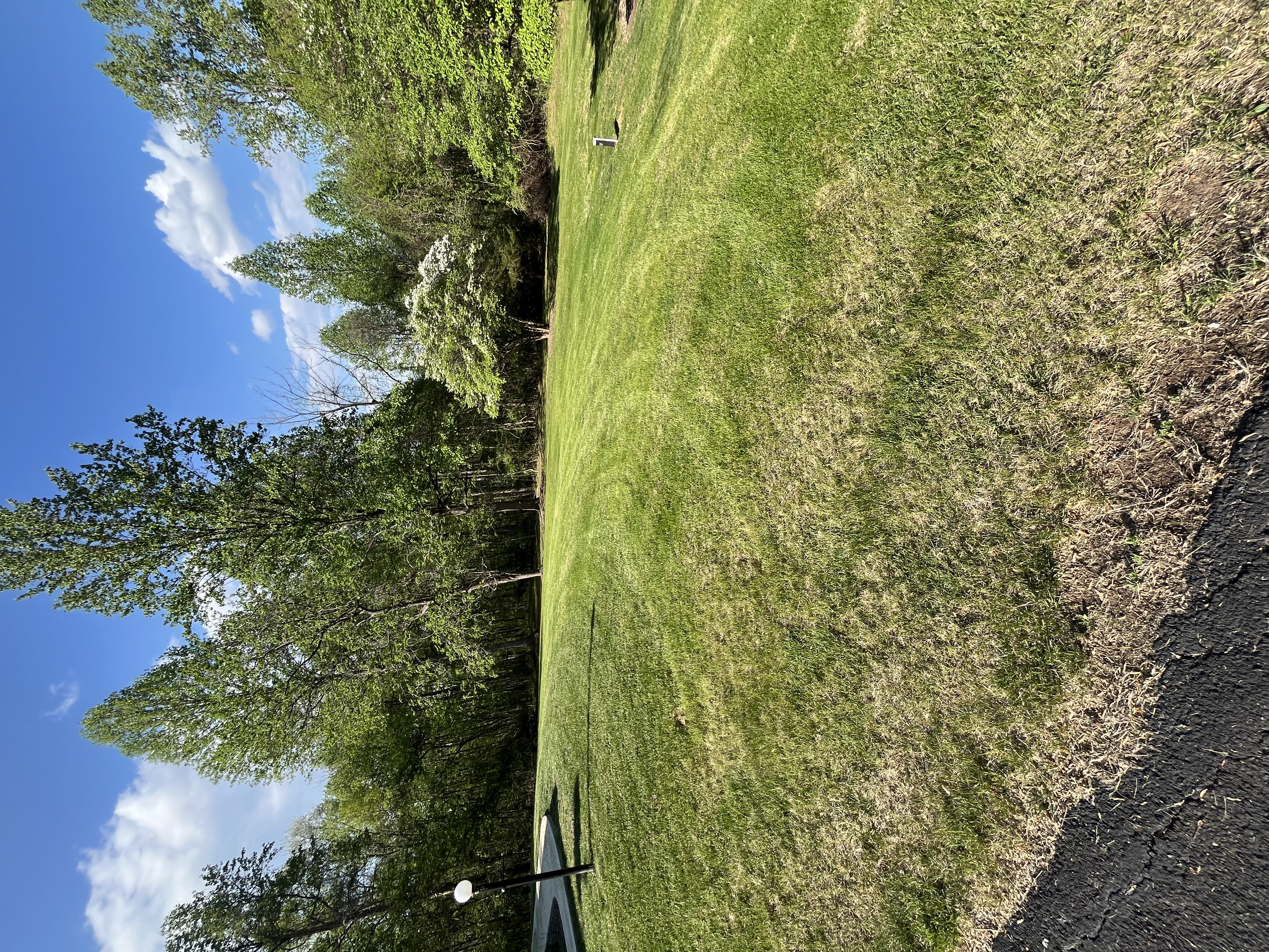 Lawn Maintenance