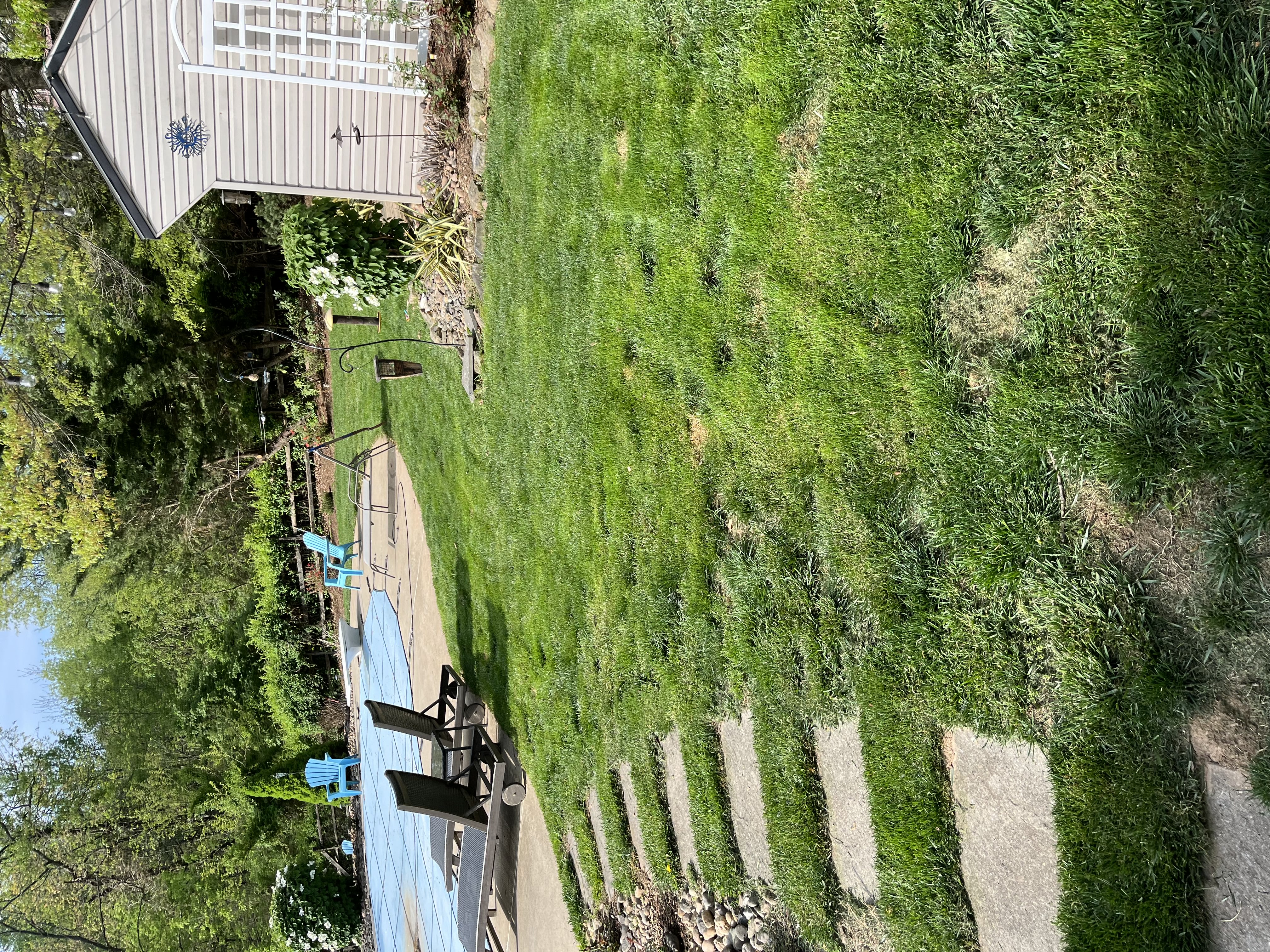 Lawn Maintenance