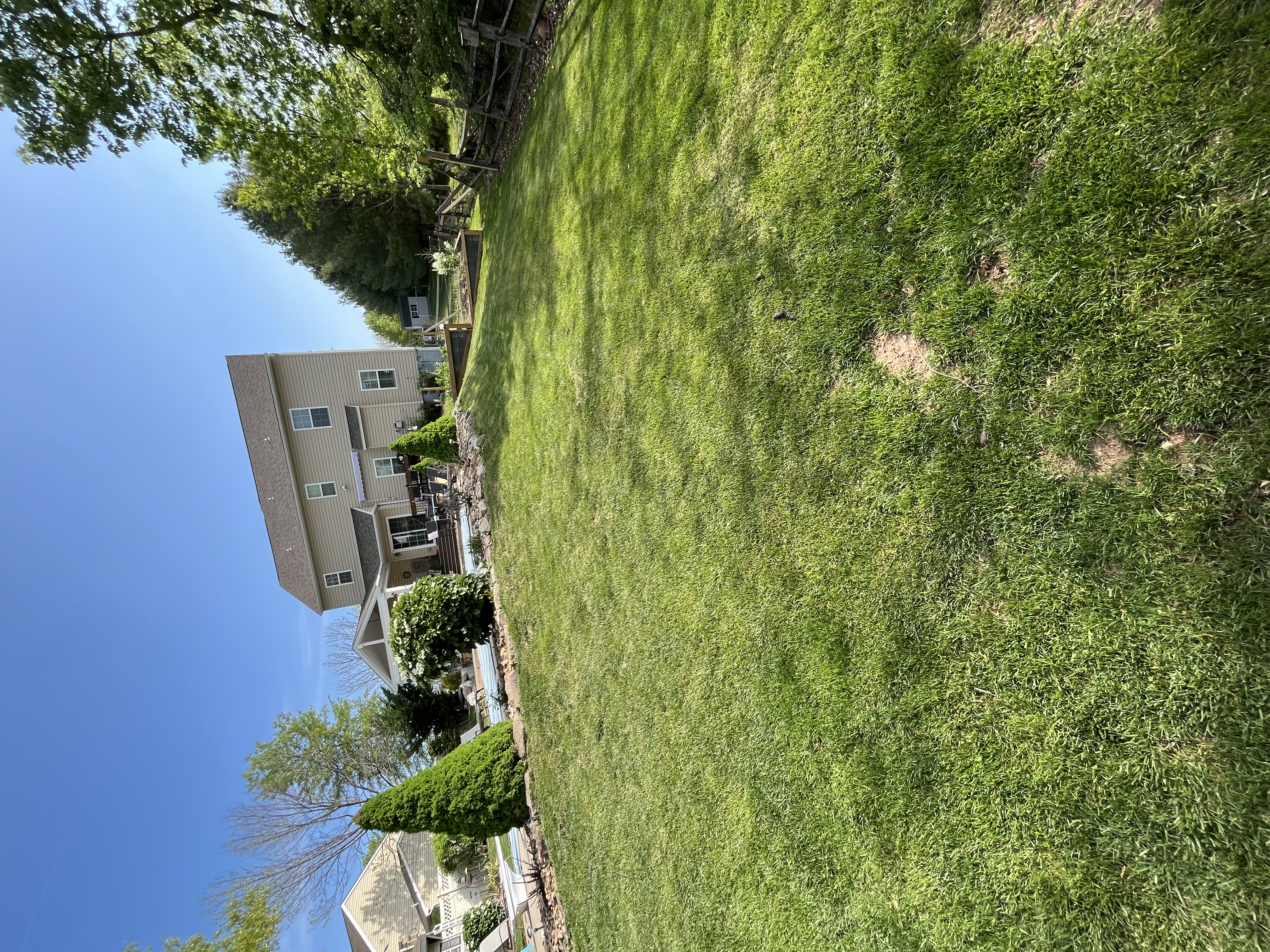 Lawn Maintenance