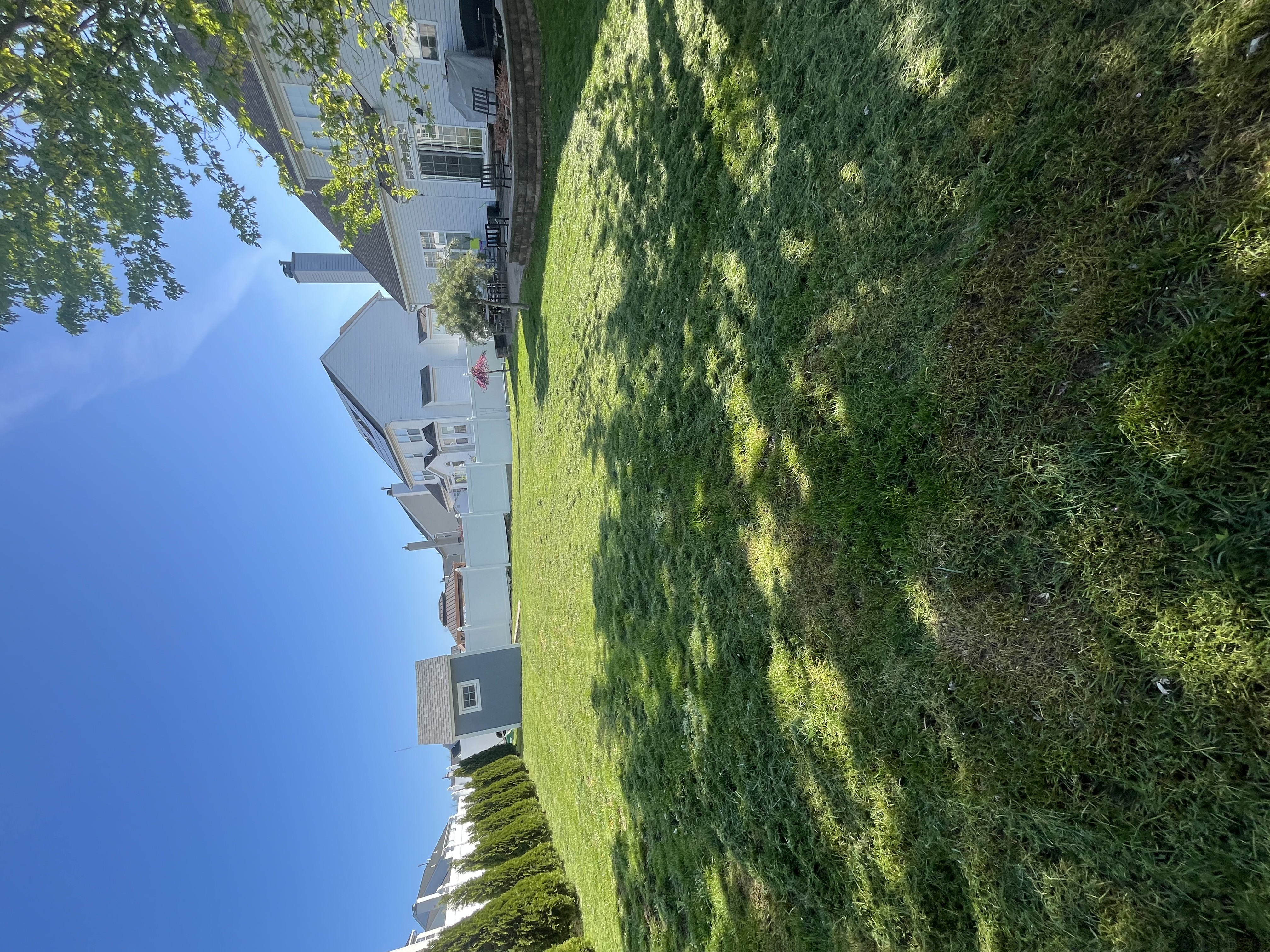 Lawn Maintenance